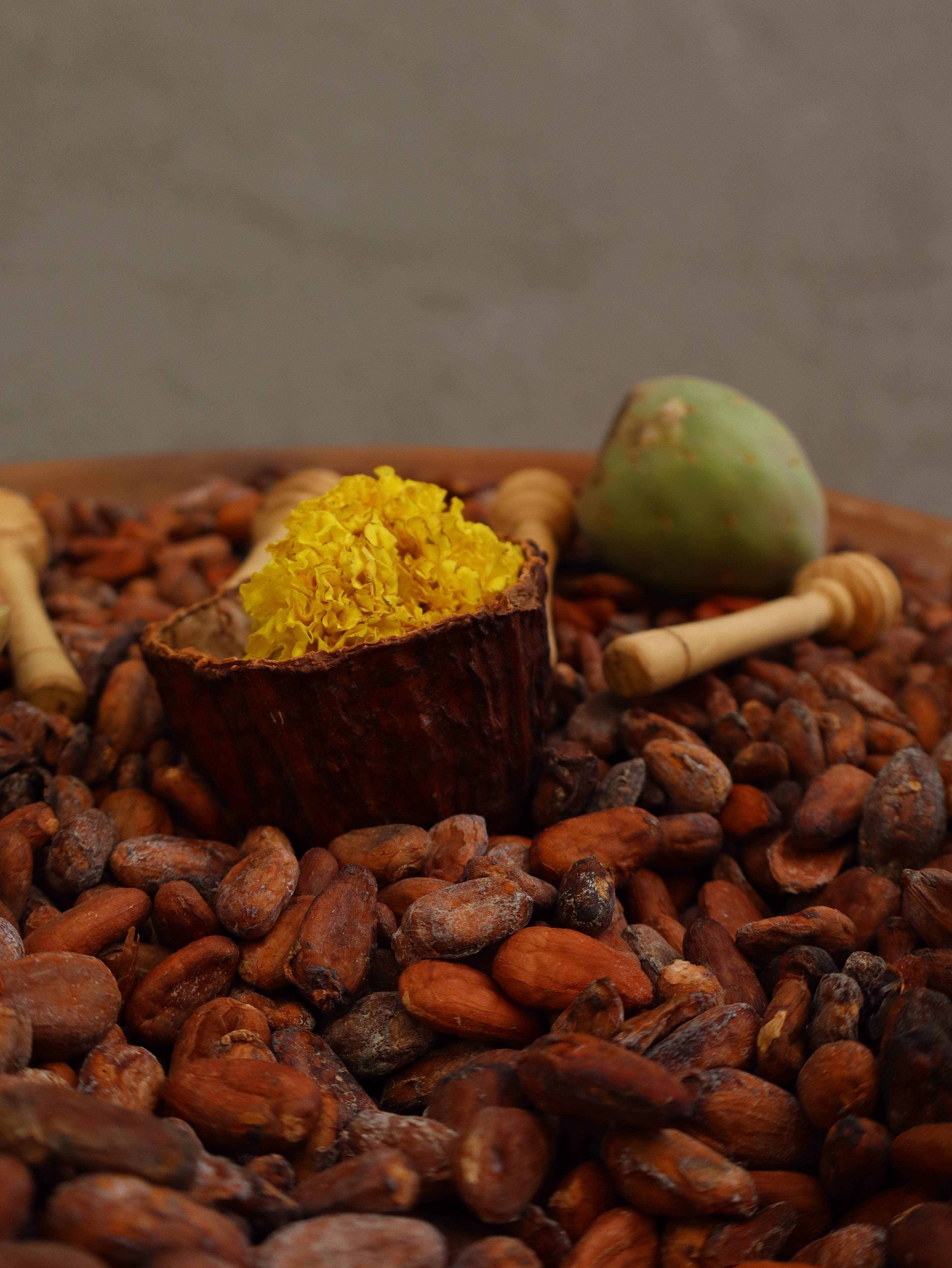 Vista 3 de Recorrido en cuatrimoto por Teotihuacán